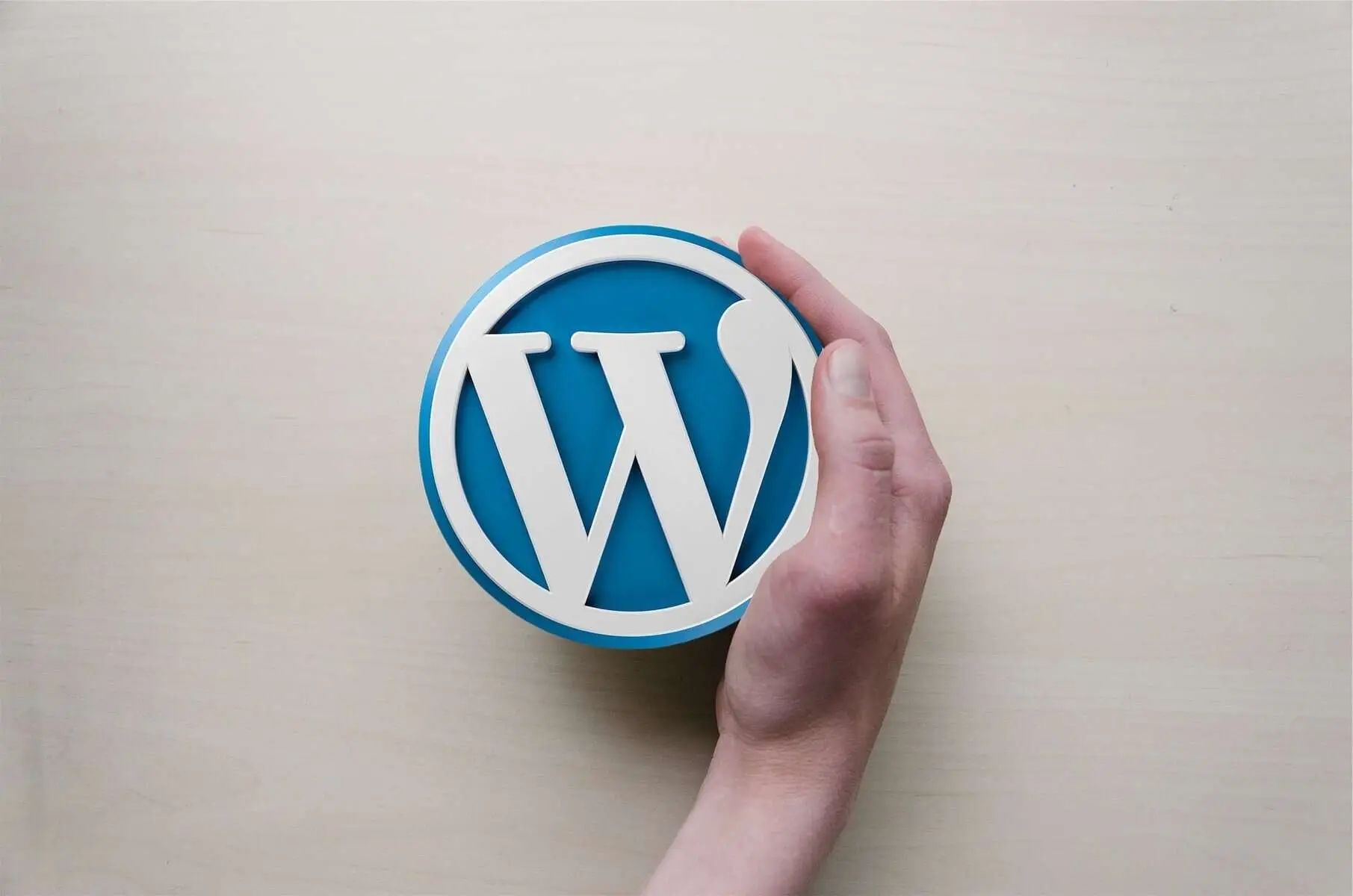 WordPress Logo zum Webdesign, Webhosting und professionellen Internetseiten.
